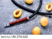 Oriental hookah with the aroma apricot for relax.Apricot shisha.Shisha Concept. Hookahs shisha with apricot. Стоковое фото, агентство Ingram Publishing / Фотобанк Лори