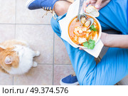 Someone holding plate Bouillabaisse french seafood soup, pleading cat in background. Bouillabaisse french seafood soup. Стоковое фото, агентство Ingram Publishing / Фотобанк Лори