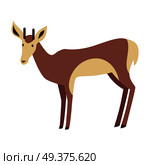 Young fallow deer male with horns flat style vector. Wild herbivorous animal. European fauna species. For nature concepts children s book illustrating, printing materials. Isolated on white background. Young Deer Vector Illustration in Flat Design. Стоковая иллюстрация, агентство Ingram Publishing / Фотобанк Лори