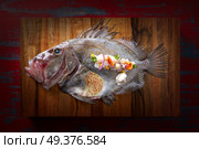 Ceviche modern cuisine of San Pedro fish Zeus faber. Стоковое фото, агентство Ingram Publishing / Фотобанк Лори