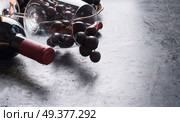 Wine glass with red grape clusters, bottle of wine on dark background. Place for your design, text, article, advertisement or product. Стоковое фото, агентство Ingram Publishing / Фотобанк Лори