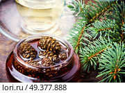 Healthy medicinal jam from pine cones for tea.Natural Medicine. Jam from pine cones for tea. Стоковое фото, агентство Ingram Publishing / Фотобанк Лори