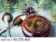 Homemade medicinal jam from pine cones.Natural Medicine. Jam from pine cones. Стоковое фото, агентство Ingram Publishing / Фотобанк Лори