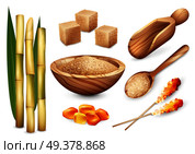 Cane sugar set with isolated images of sand sugar in wooden plate spoon bail and candy sweets vector illustration. Cane Sugar Sweets Set . Стоковая иллюстрация, агентство Ingram Publishing / Фотобанк Лори