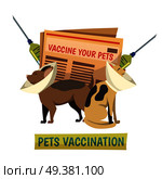 Compulsory pets vaccination orthogonal background composition with cat and dog in protective cone collars and syringes vector illustration. Pets Vaccination Orthogonal background Composition. Стоковая иллюстрация, агентство Ingram Publishing / Фотобанк Лори