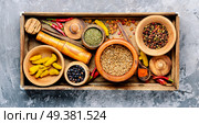 Big set Indian spices and herbs.Food and cuisine ingredients.Seasonings for food. Spices ingredients for cooking. Стоковое фото, агентство Ingram Publishing / Фотобанк Лори