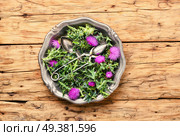 Wild healing herbs thistle in mortar.Herbal medicine.Herbalism. Onopordum and herbalism.Thistle. Стоковое фото, агентство Ingram Publishing / Фотобанк Лори