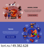 Two horizontal circus cartoon colored banner set with animal show and tricks descriptions vector illustration. Circus Cartoon Colored Banner Set. Стоковая иллюстрация, агентство Ingram Publishing / Фотобанк Лори
