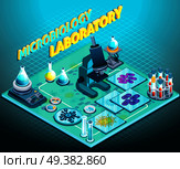 Microbiology laboratory isometric composition on blue gradient background with scientific equipment, flasks and tubes, microorganisms, vector illustration . Microbiology Laboratory Isometric Composition. Стоковая иллюстрация, агентство Ingram Publishing / Фотобанк Лори