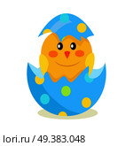 Colorful fluffy spring yellow newborn chick hatched from shell isolated on white background. Mascots of Easter celebration, chicken as symbols of new life vector illustration. Friendly feast animals. Newborn Chicken Hatch from Shell Vector Decoration. Стоковая иллюстрация, агентство Ingram Publishing / Фотобанк Лори