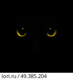 Animals monsters realistic composition with feline eyes and nose scary cats snout looking out of darkness vector illustration. Cat Monster Realistic Composition. Стоковая иллюстрация, агентство Ingram Publishing / Фотобанк Лори