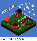 People playing with pets big ball kennel bowl bone and collar isometric composition on blue background 3d vector illustration. People With Pets Composition. Стоковая иллюстрация, агентство Ingram Publishing / Фотобанк Лори