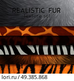 Collection of fur texture six horizontal elements with abstract various colored patterns in realistic style as background for design vector illustration. Fur Texture Horizontal Elements. Стоковая иллюстрация, агентство Ingram Publishing / Фотобанк Лори