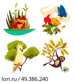 Animals jungle design concept with frog in reeds, butterfly on flower, parrot and sloth isolated vector illustration. Animals Jungle Design Concept. Стоковая иллюстрация, агентство Ingram Publishing / Фотобанк Лори