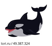 Killer whale cartoon character. Cute killer whale flat vector isolated on white background. Aquatic fauna. Orca icon. Animal illustration for zoo ad, nature concept, children book illustrating. Killer Whale Cartoon Flat Vector Illustration. Стоковая иллюстрация, агентство Ingram Publishing / Фотобанк Лори