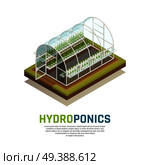 Greenhouse hydroponics isometric composition with image of conservatory hothouse with water tank gardening plants and text vector illustration. Water Tank Agriculture Background. Стоковая иллюстрация, агентство Ingram Publishing / Фотобанк Лори