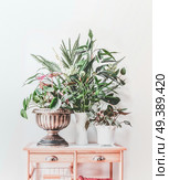 Modern still life with house plants in pots and vase on wooden table, front view. Pilea peperomioides , bamboo, begonia  arranged at white wall at home. Стоковое фото, агентство Ingram Publishing / Фотобанк Лори