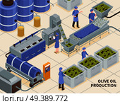 Olive oil production modern automated facility line isometric composition with collected fruit pressing extraction process vector illustration  . Olive Oil Production Isometric. Стоковая иллюстрация, агентство Ingram Publishing / Фотобанк Лори