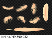 Feathers  Transparent Set. Стоковая иллюстрация, агентство Ingram Publishing / Фотобанк Лори