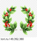 Christmas holly wreath realistic illustration. Tree branches with green leaves and red berries on transparent background. Decorative Xmas holly tree round twigs. Poster design element. Isolated vector. Christmas holly wreath realistic illustration. Стоковая иллюстрация, агентство Ingram Publishing / Фотобанк Лори
