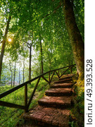 Covadonga forest stairs in Asturias Picos Europa mountains Spain. Стоковое фото, агентство Ingram Publishing / Фотобанк Лори