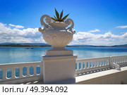 La Toja island Toxa beach flower pot in Pontevedra Galicia Spain. Стоковое фото, агентство Ingram Publishing / Фотобанк Лори