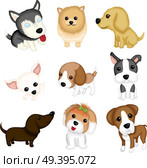 A vector illustration of different dog breeds. Стоковая иллюстрация, агентство Ingram Publishing / Фотобанк Лори
