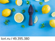 Fresh lemon citrus fruits with mint leaves and citrus reamer on blue table bakground. Fresh lemon fruits. Стоковое фото, агентство Ingram Publishing / Фотобанк Лори