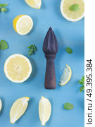 Fresh lemon citrus fruits slices with mint leaves and citrus reamer on blue bakground. Fresh lemon fruits. Стоковое фото, агентство Ingram Publishing / Фотобанк Лори