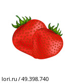 Ripe fresh red strawberries isolated on white. Summer sweet healthy fruit with outside seeds. Vector colorful illustration in flat style with two whole strawberries full of vitamins and minerals. Ripe Fresh Red Strawberries Isolated on White. Стоковая иллюстрация, агентство Ingram Publishing / Фотобанк Лори
