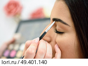 Makeup artist putting make-up on an African woman’s eyebrows in a beauty center.. Beauty and Aesthetic concepts. Стоковое фото, агентство Ingram Publishing / Фотобанк Лори