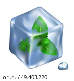 Green leaves of spearmint in frozen ice cube and small shiny water drop isolated vector illustration on white background.. Leaves of Spermint in Ice Isolated Illustration. Стоковая иллюстрация, агентство Ingram Publishing / Фотобанк Лори