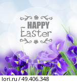 blue irises flower posy close up with happy Easter greeting. blue irise flowers close up. Стоковое фото, агентство Ingram Publishing / Фотобанк Лори