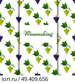 Winemaking poster with isolated grapes of purple and blue color, seamless pattern with grapes bunches and leaves around vector illustration.. Winemaking Poster with Isolated Grapes Vector. Стоковая иллюстрация, агентство Ingram Publishing / Фотобанк Лори