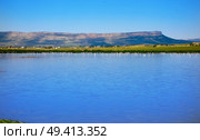Almansa embalse reservoir with pink flamingos in albacete of Spain. Стоковое фото, агентство Ingram Publishing / Фотобанк Лори