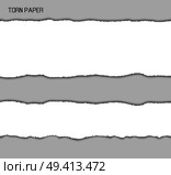 Torn paper stripe with ragged uneven ragged edges of white lines paper. Vector illustration with two different sized stripes isolated on gray background. Torn Paper Srtipes Vector Illustration. Стоковая иллюстрация, агентство Ingram Publishing / Фотобанк Лори