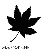 Japanese maple leaf black silhouette autumn fallen object vector in realistic design isolated on white. Fall foliage element, dark leafage vector. Maple Leaf Black Silhouette Autumn Fallen Object. Стоковая иллюстрация, агентство Ingram Publishing / Фотобанк Лори