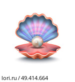 Closeup of pearl and shell inside of it, big cockleshell with shadow under it, icon on vector illustration isolated on white background. Closeup of Pearl and Shell Vector Illustration. Стоковая иллюстрация, агентство Ingram Publishing / Фотобанк Лори