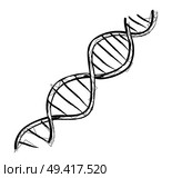 DNA code structure with chromosomes radiate light line sketch. Vector illustration of gene code icon isolated on white background. DNA Code Structure Icon Vector Illustration. Стоковая иллюстрация, агентство Ingram Publishing / Фотобанк Лори
