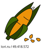 Corn cob in husk flat style vector icon isolated on white background. Important agricultural plant for food industry. Ripe maize seeds cartoon illustration for applications, logos or web design. Corn Cob in Husk Flat Vector Icon. Стоковая иллюстрация, агентство Ingram Publishing / Фотобанк Лори
