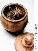 Dried rhizomes and roots of valerian medicinal. Valerian herb root. Dry root of Valerian. Стоковое фото, агентство Ingram Publishing / Фотобанк Лори