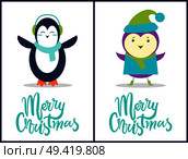 Merry Christmas, collection of compositions made up of images of penguin with scarf and bird with green hat, and headlines on vector illustration. Merry Christmas Penguin, Bird Vector Illustration. Стоковая иллюстрация, агентство Ingram Publishing / Фотобанк Лори