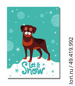 Let It Snow poster with rottweiler on snowdrift. Adorable loyal dog vector illustration as symbol of 2018 year according to Chinese calendar.. Let It Snow Poster with Rottweiler on Snowdrift. Стоковая иллюстрация, агентство Ingram Publishing / Фотобанк Лори