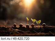Cluster of tiny plants emerging from soil in the natural environment. Стоковое AI-изображение, AI-художник Данила Большаков / Фотобанк Лори