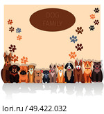 Dog family banner in purebred concept. Vector of Bernese Mountain and Central Asian hounds, French and English Bulldog, Chihuahua and boxer, Jack Russell and Bull Terrier, puppy of Argentinian Dog.. Dog Family Banner in Purebred Concept. Vector. Стоковая иллюстрация, агентство Ingram Publishing / Фотобанк Лори
