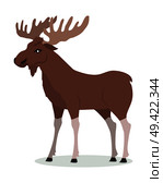 Moose cartoon character. Moose with large horns flat vector isolated on white. North America and Eurasia fauna. Moose icon. Animal illustration for zoo ad, nature concept, children book illustrating. Стоковая иллюстрация, агентство Ingram Publishing / Фотобанк Лори