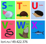 Capital letters S, T, U, V, W, X as part of alphabet vector. Fluffy sheep, sea turtle, cute urchin, dangerous viper, forest wolf and funny xiphias. Alphabet for Children with Animal Illustrations. Стоковая иллюстрация, агентство Ingram Publishing / Фотобанк Лори