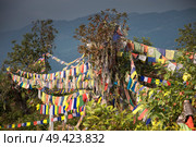 Many colorful waving prayer flags suspended between trees. Стоковое фото, агентство Ingram Publishing / Фотобанк Лори
