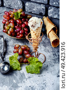 Ice cream cone vanilla and grape flavor. Grape flavored ice cream. Стоковое фото, агентство Ingram Publishing / Фотобанк Лори