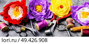 Colourful handmade paper flowers.Paper craft and tools. Colorful bouquet of flowers out of paper. Стоковое фото, агентство Ingram Publishing / Фотобанк Лори